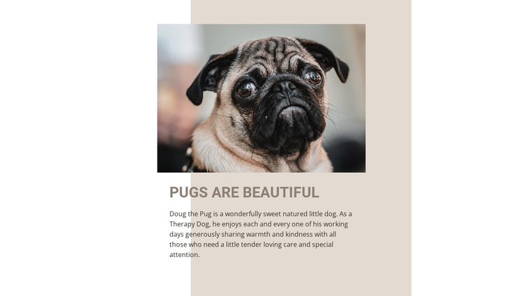 Pugs are Beautiful One Page Template