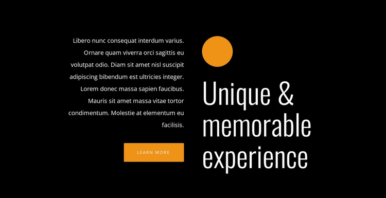 Unique and memorable experience Website Template