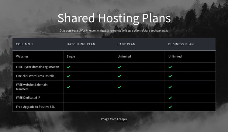 Shared hosting plans HTML Template