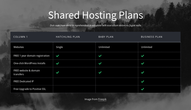 Shared hosting plans One Page Template