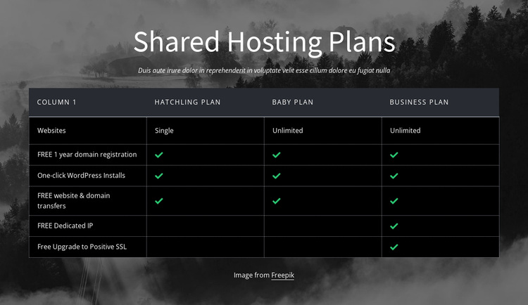 Shared hosting plans Website Design
