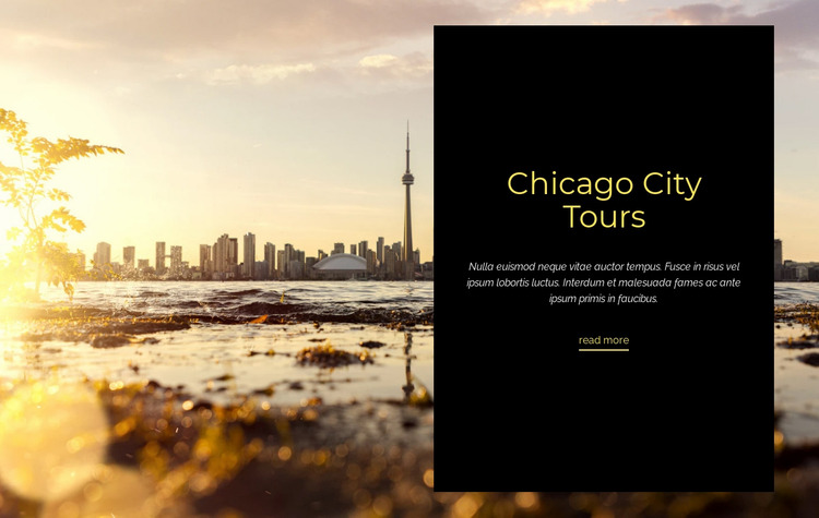 Chicago City Tours Website Mockup