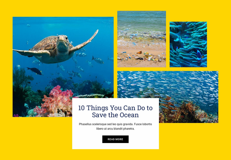 Things Save Ocean Website Design