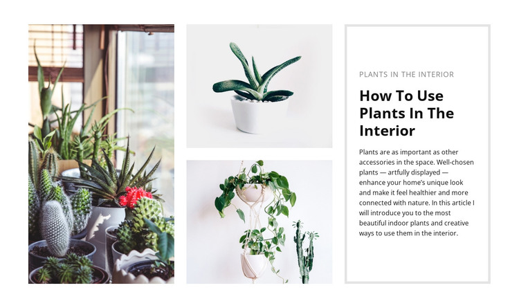 Plants interior Web Design