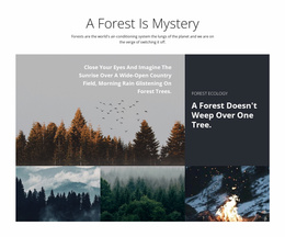 Forest Website Templates