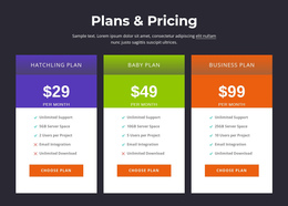 Plans And Pricing Professional Web Tool