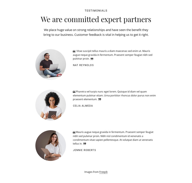 We are commited expert partners Template