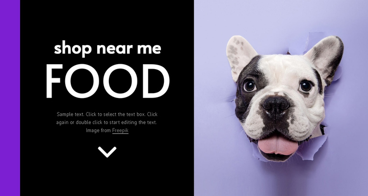 Dogs food Website Builder Software