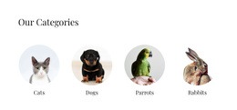 Pets & Animals Html Code Examples