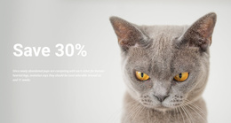 Pet Shop Web Templates