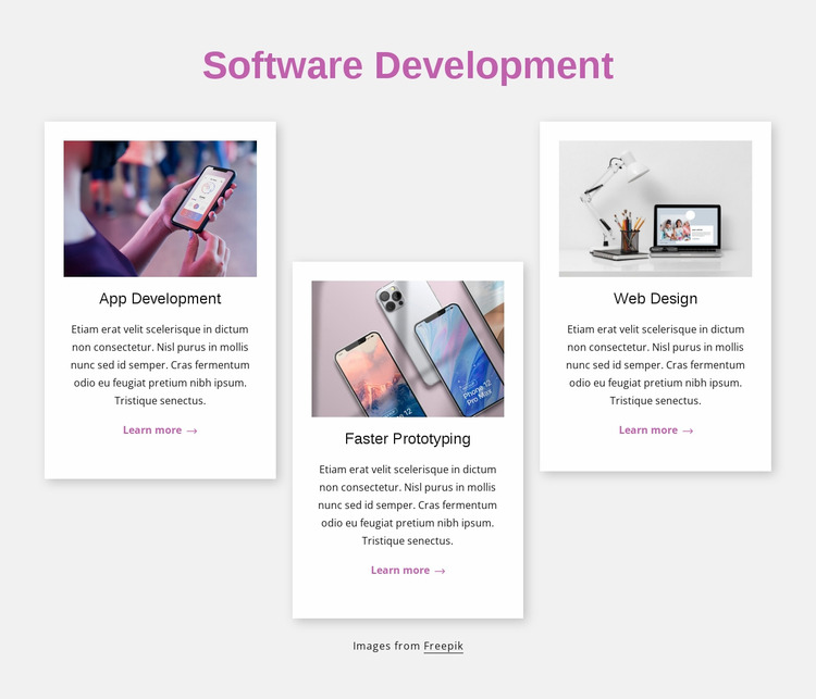Software development engineering WordPress Website Builder