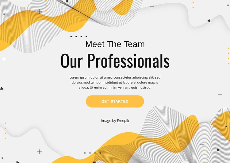 Meet our professional team Website Design
