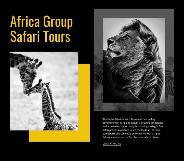 Travel Safari Tours Website Builder Software