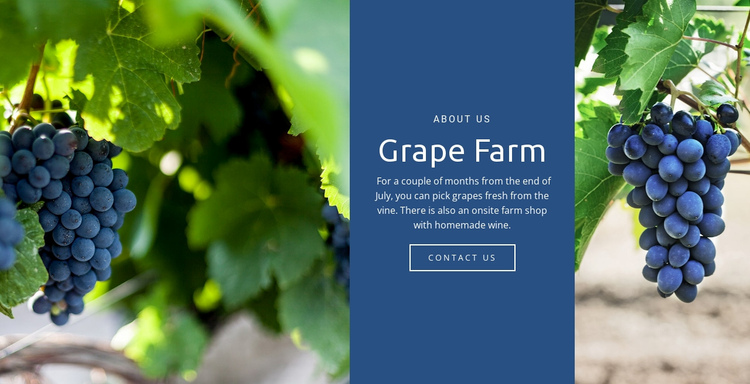 Grape Farm Website Builder Software