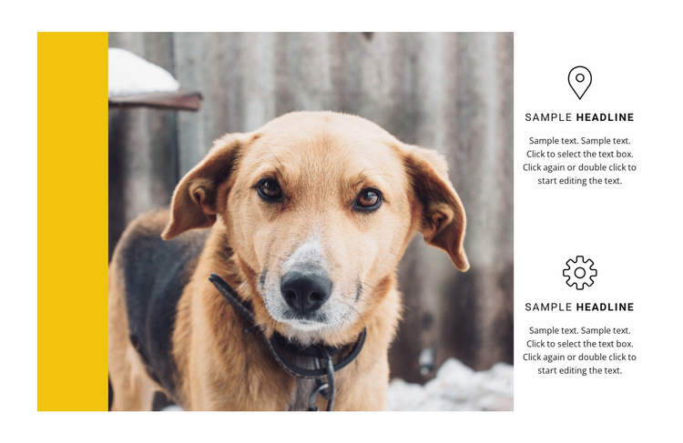 Animal Shelter Website Template