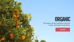 Organic Natural Fruit Free Website Builder