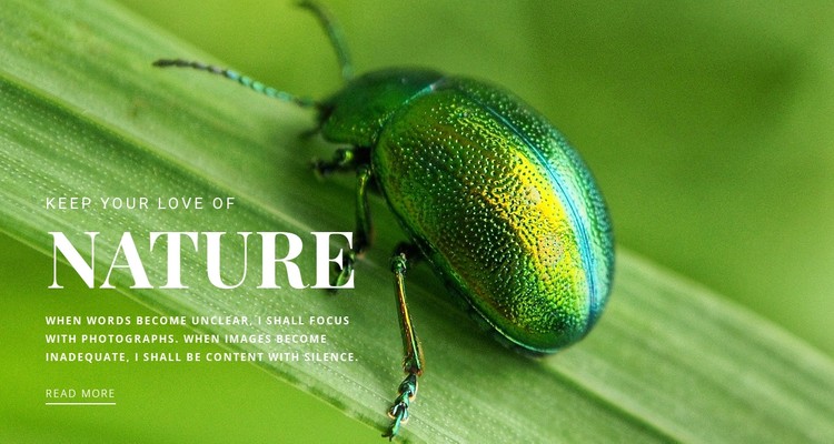 Green beetle CSS Template
