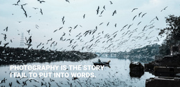 Photography Is The Story Industry Sale Matter