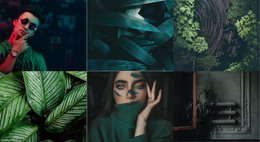 Green Style Gallery