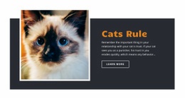 Pets & Animals Html Code Examples