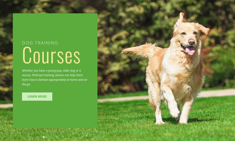 Obedience training for dogs CSS Template