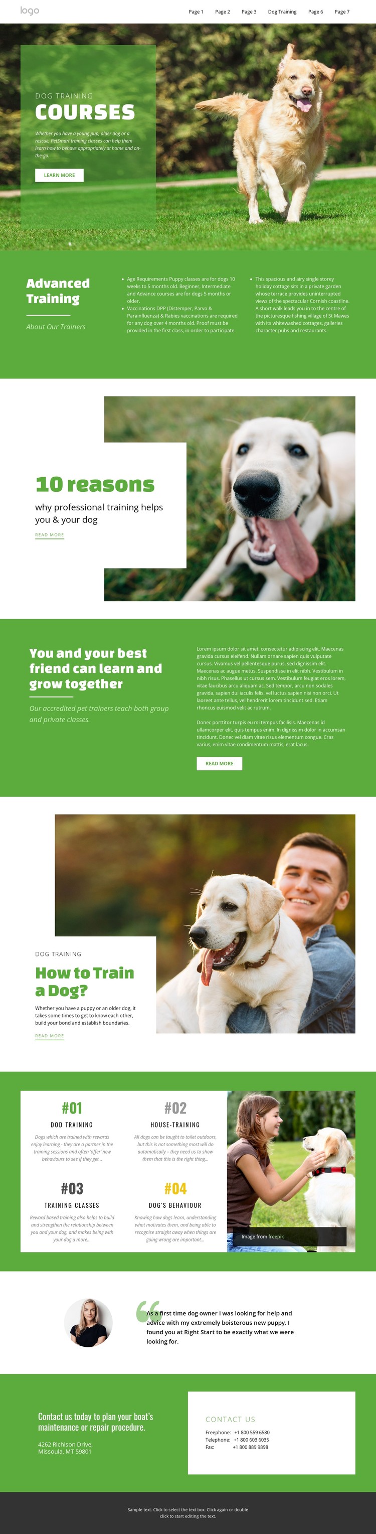 Training courses for pets CSS Template