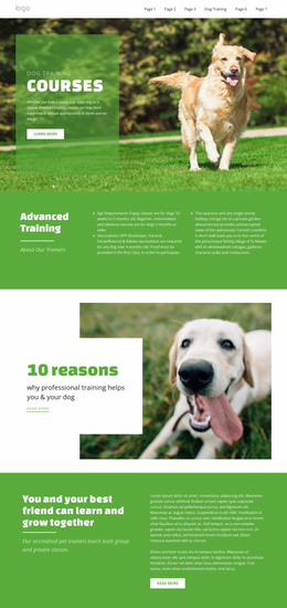 Pets & Animals Website Templates