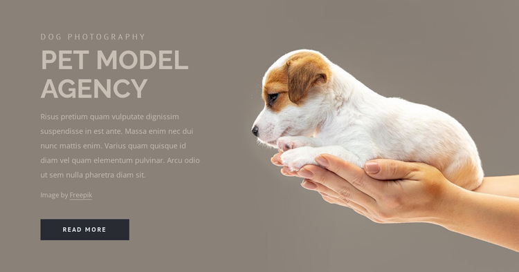 Pet model agency Website Builder Templates