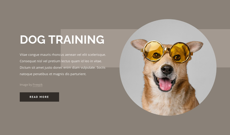 Dog training tips Joomla Page Builder
