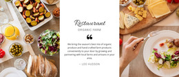 Restaurant Healthy Menu WordPress Template