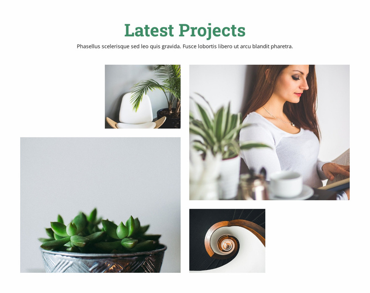 Our most successful ideas Website Template