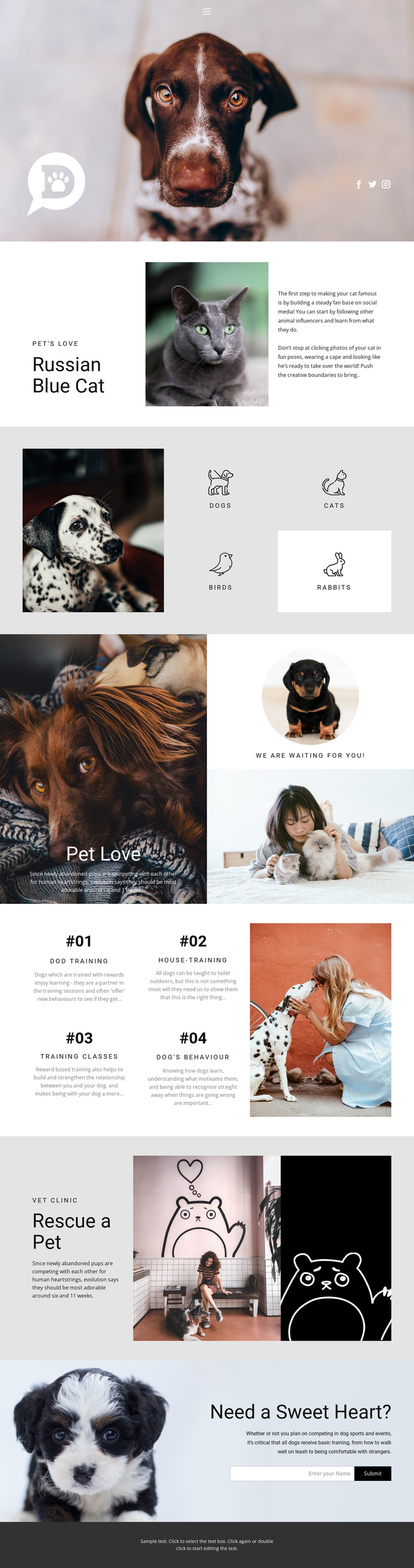 Care for pets and animals One Page Template