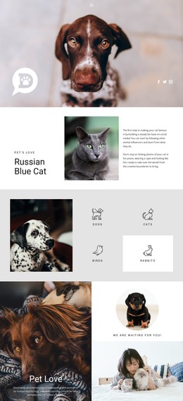 Pets & Animals Static Site Generator