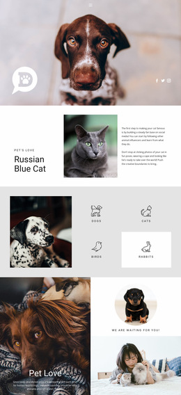 Pets & Animals Website Builder