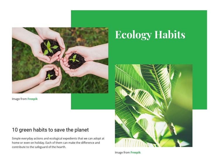 Ecology habits Website Builder Software