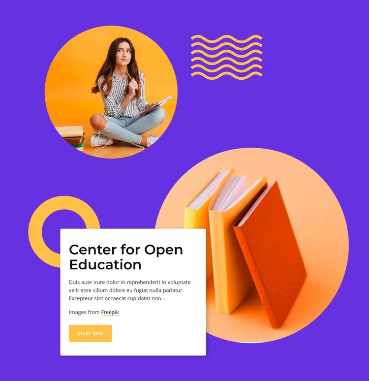 Center of open education Website Template