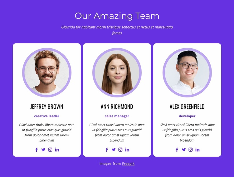 Our best professionals Website Template