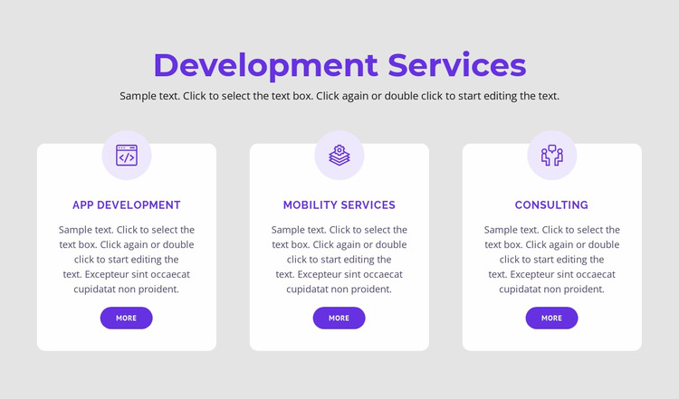 Our development services WordPress Website Builder