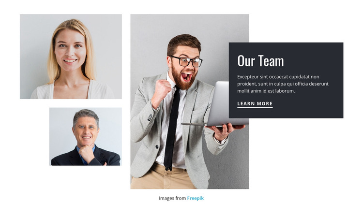 Meet the consulting team HTML Template