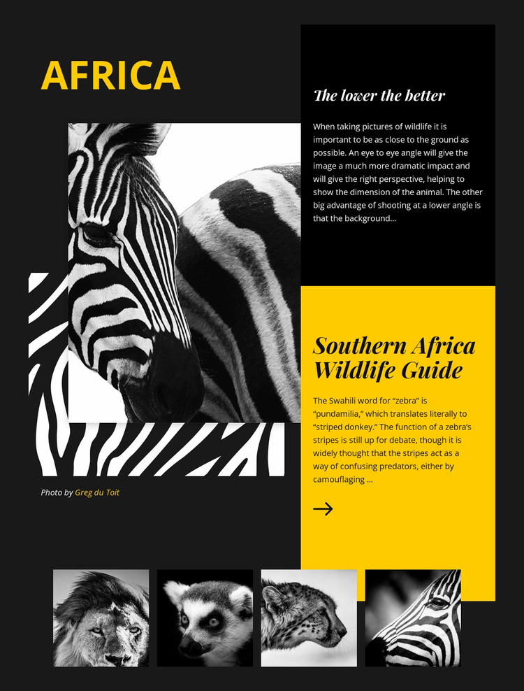 Africa Wildlife Guide Website Template