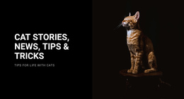 Cat Stories And News Drag And Drop Site Builder