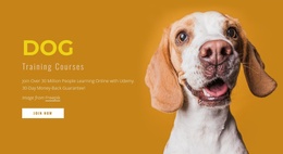 How To Train Your Dog Website Layout