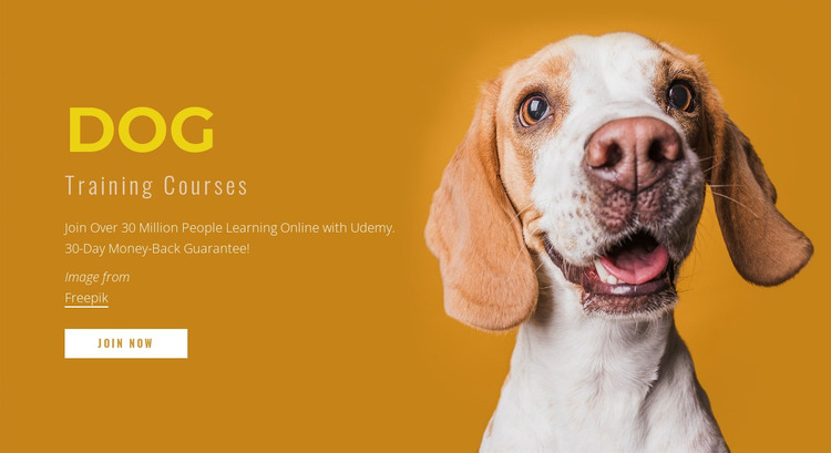 How to train your dog WordPress Theme