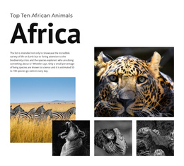 Ten African Animals Easy Add Online Store