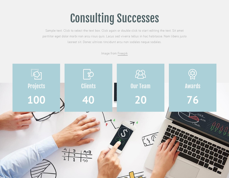Counsolting successes Website Builder Software