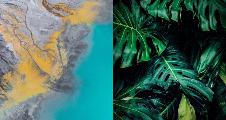 Nature gallery CSS Template