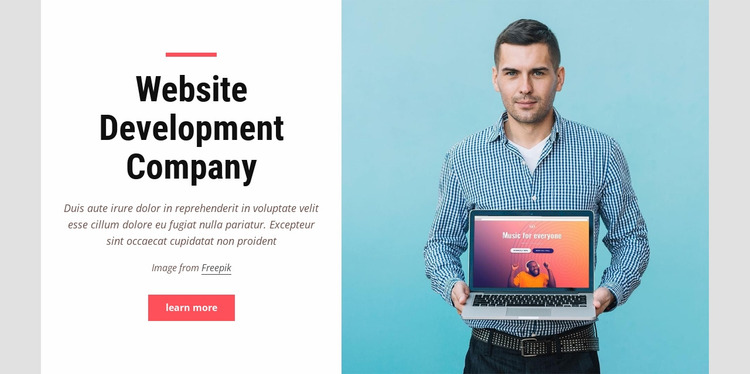 Website development company Website Mockup