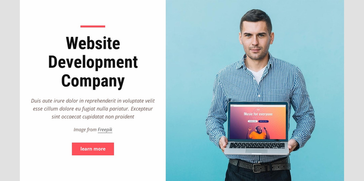 Website development company Landing Page