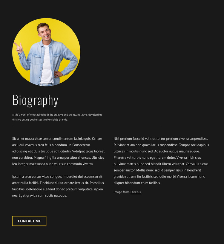Travel blogger designer biography Website Mockup