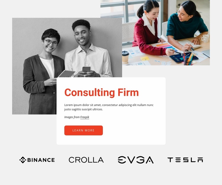 Professional consulting firm Website Design